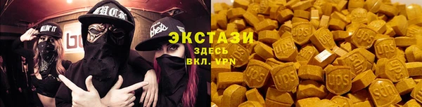 дживик Богородск