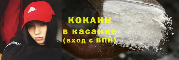 дживик Богородск
