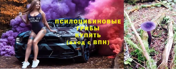 СК Богородицк