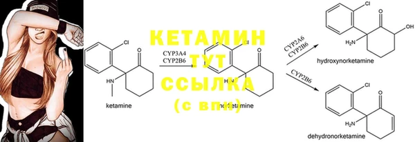 mdpv Бородино