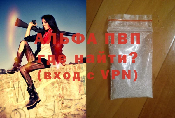 твердый Богданович