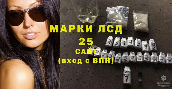 дживик Богородск