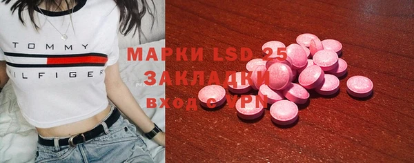 твердый Богданович