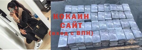 твердый Богданович