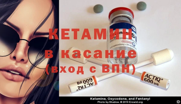 твердый Богданович