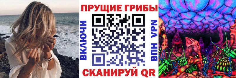 Псилоцибиновые грибы мухоморы  Купить закладки  Новая Ладога 