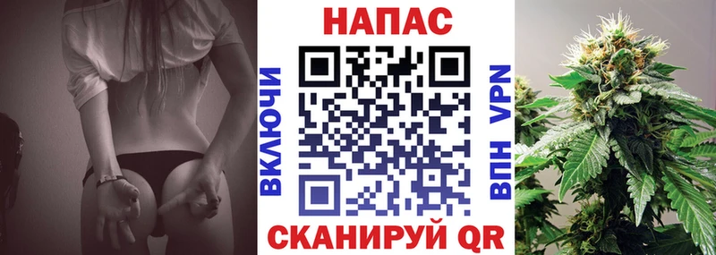 Шишки марихуана OG Kush  Купить где  Новая Ладога 